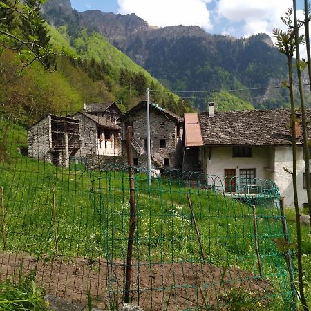 Il Fiume Di Fianco. Appartamento Alta Valsesia Mollia Bagian luar foto