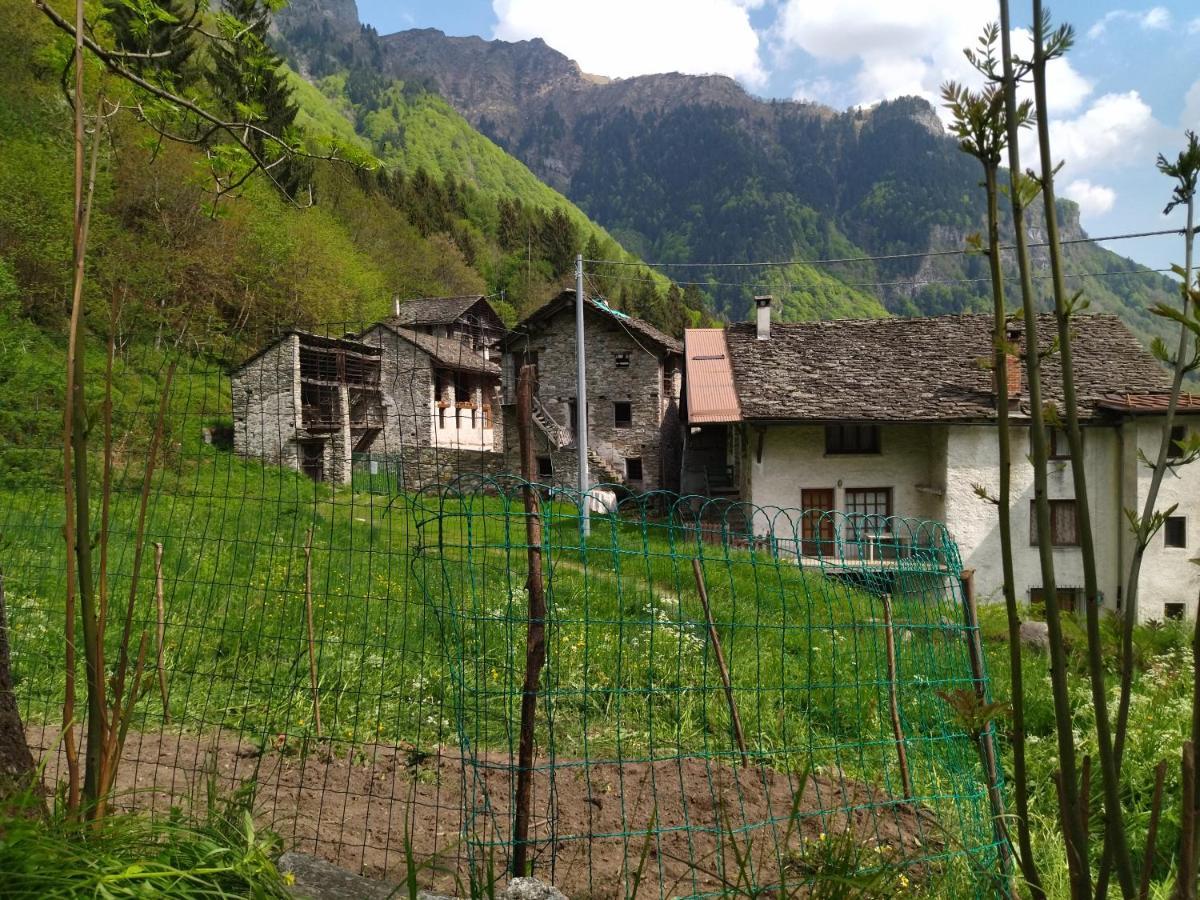 Il Fiume Di Fianco. Appartamento Alta Valsesia Mollia Bagian luar foto